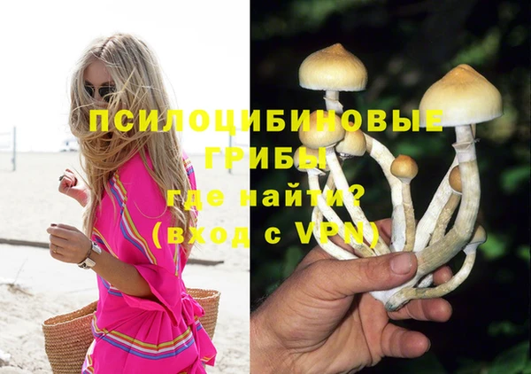 гидропоника Богородск