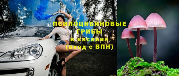 каннабис Богородицк