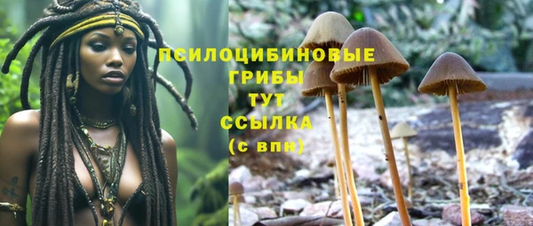 гидропоника Богородск