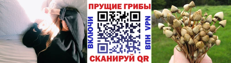 Псилоцибиновые грибы ЛСД  Гремячинск 